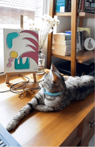 cat