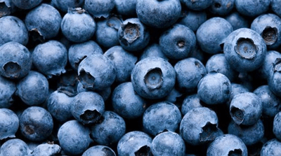 Fresh blueberries